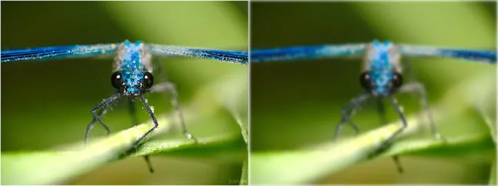 Ostre jak brzytwa: Jak uniknąć rozmytych zdjęć w aparacie Canon
