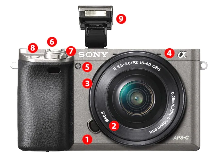 Sony A6000 czy lustrzanka – co wybrać dla lepszych zdjęć?