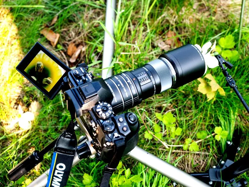 Fotografia podróżnicza