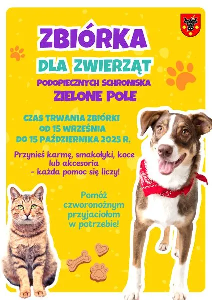 Fotografia zwierząt dla amatorów