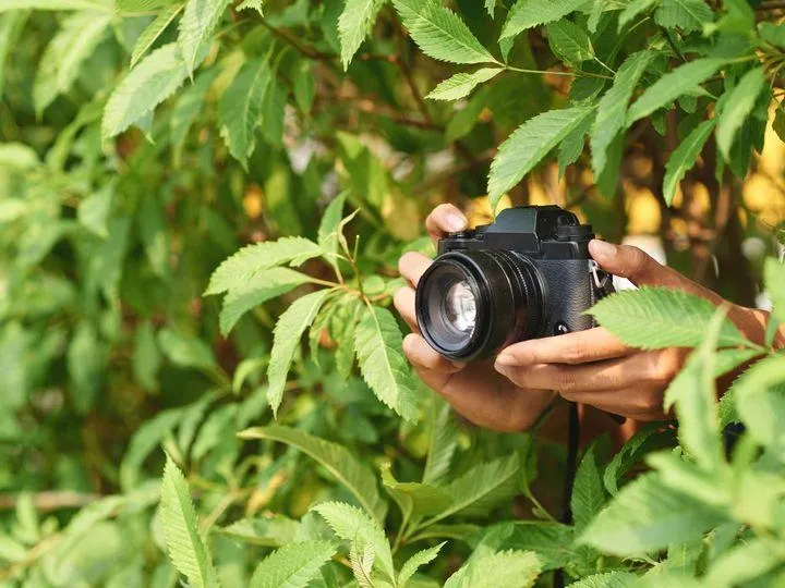 Jasny obiektyw w słabym oświetleniu