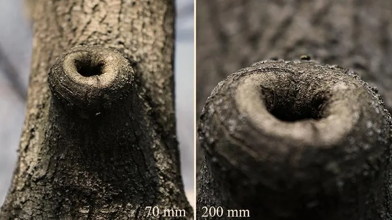 Obiektywy do fotografii produktowej