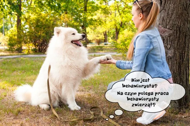 Obiektywy do fotografii zwierząt