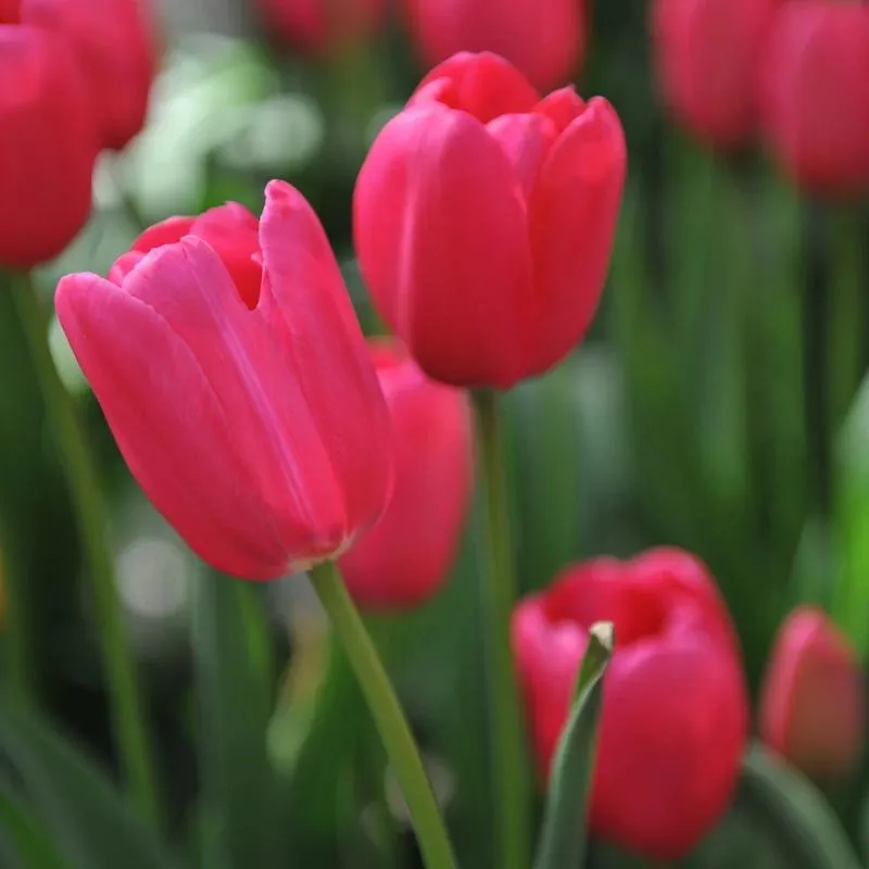 Ochrona sprzętu fotograficznego