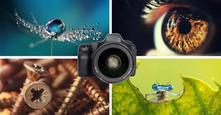 Ogniskowa i przysłona w fotografii mody