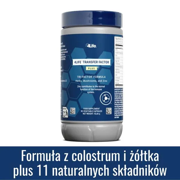 Rozwiązywanie problemów z transferem