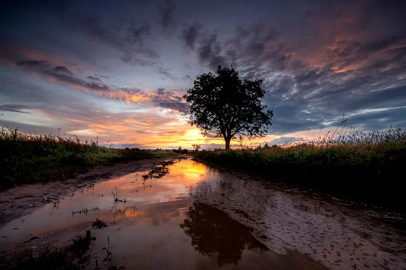 Szkoły fotograficzne